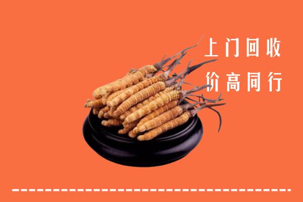 高价求购：菏泽市回收散虫草