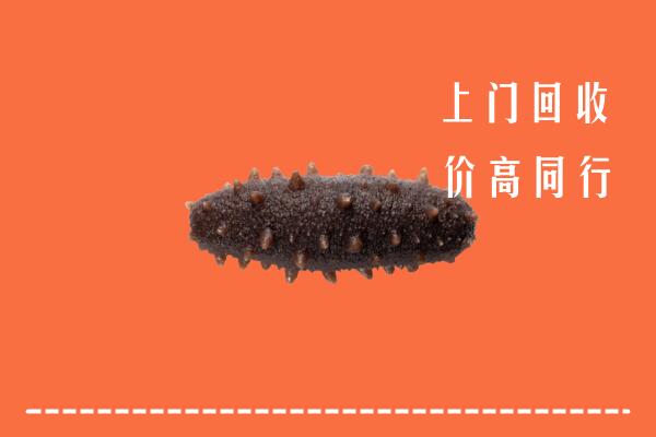 高价求购：菏泽市回收海参