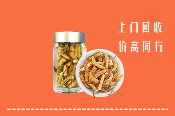 菏泽市回收冬虫夏草
