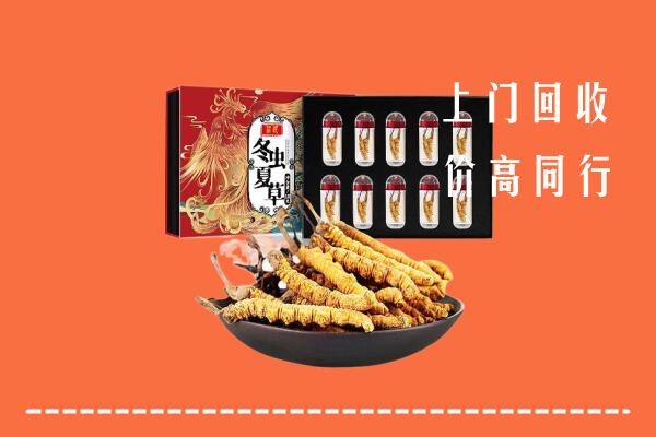 菏泽市回收虫草